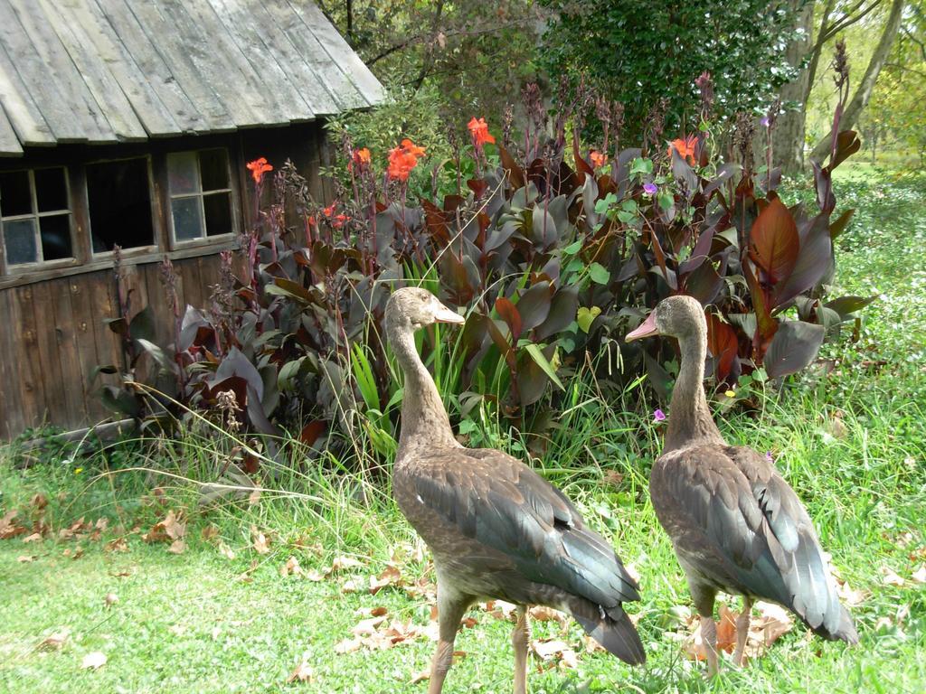 Umzimkulu River Lodge Underberg Εξωτερικό φωτογραφία